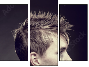 Men's hairstyle - Three-piece canvas, Triptych