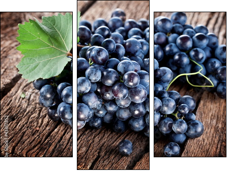 Grapes - Three-piece canvas, Triptych