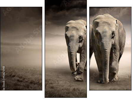 Pair of elephants in motion - Three-piece canvas, Triptych