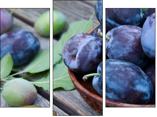 Pflaumen - Three-piece canvas, Triptych