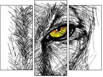 Hand drawn Sketch of a lion looking intently at the camera - Three-piece canvas, Triptych