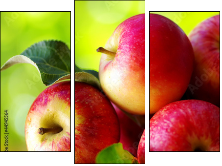 ripe red apples on table - Three-piece canvas, Triptych