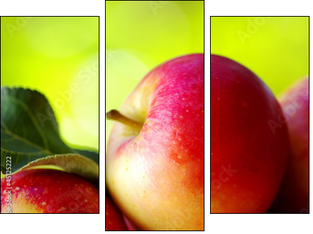 ripe red apples on table - Three-piece canvas, Triptych