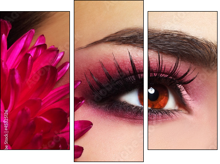 Beautiful Eye Makeup with Aster Flower - Three-piece canvas, Triptych