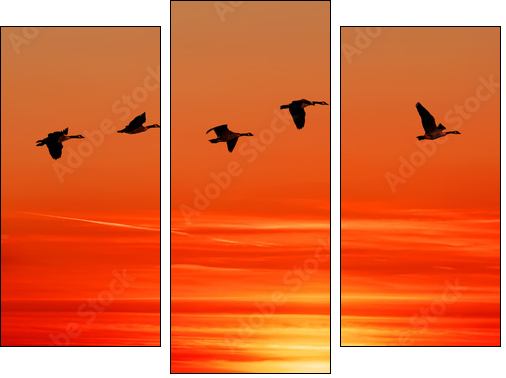 To home - Three-piece canvas, Triptych