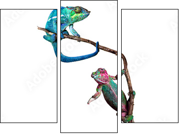 nach oben - Three-piece canvas, Triptych