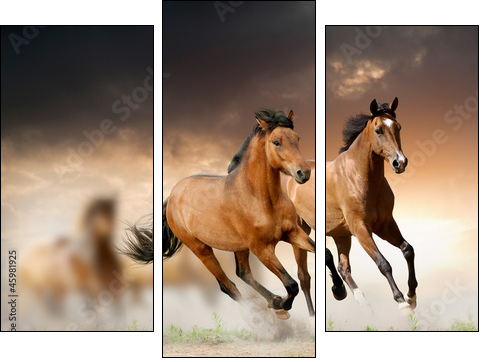 horses in sunset - Three-piece canvas, Triptych
