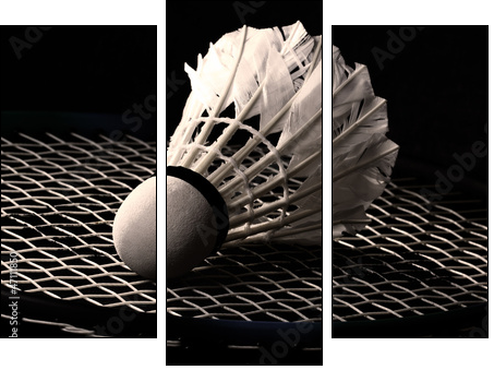 Shuttlecock on badminton racket - Three-piece canvas, Triptych