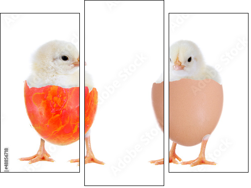 Zwei KÃ¼ken im Ei - Three-piece canvas, Triptych