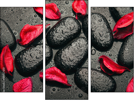 background spa. black stones and red petals with water droplets - Three-piece canvas, Triptych