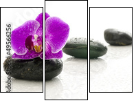 Wellness - Three-piece canvas, Triptych