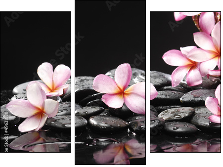 Set of frangipani with zen stones - Three-piece canvas, Triptych