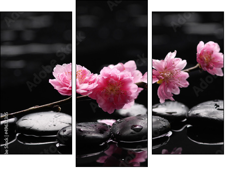 branch tropical orchid with therapy stones - Three-piece canvas, Triptych