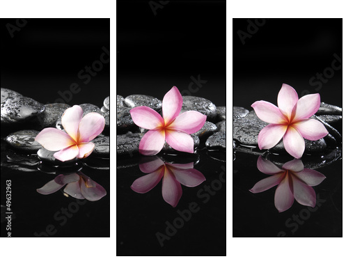 Set of three frangipani and black pebbles - Three-piece canvas, Triptych
