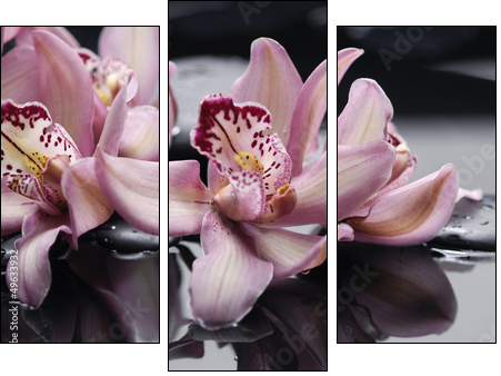 spa concept âgorgeous pink orchid and zen stones - Three-piece canvas, Triptych