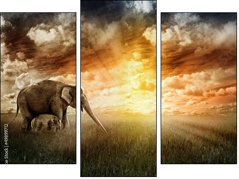 Abendfarben - Three-piece canvas, Triptych