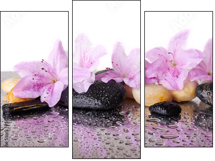 Pink flowers and black stones - Three-piece canvas, Triptych