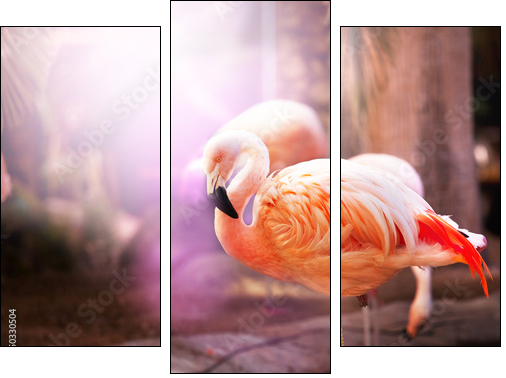 Flamingo - Three-piece canvas, Triptych