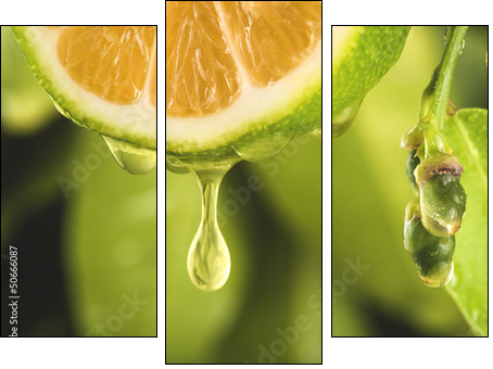 Drop of juice from a sliced lemon - Three-piece canvas, Triptych