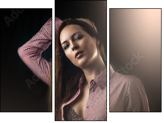 Young sexy woman wearing shorts - Three-piece canvas, Triptych