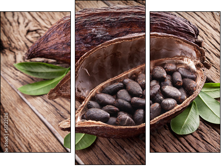 Cocoa pod - Three-piece canvas, Triptych