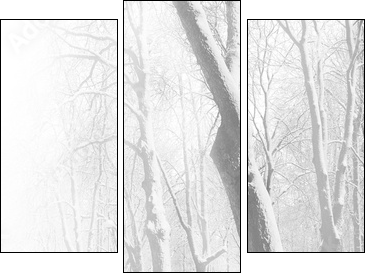 Red benches in the fog in winter - Three-piece canvas, Triptych