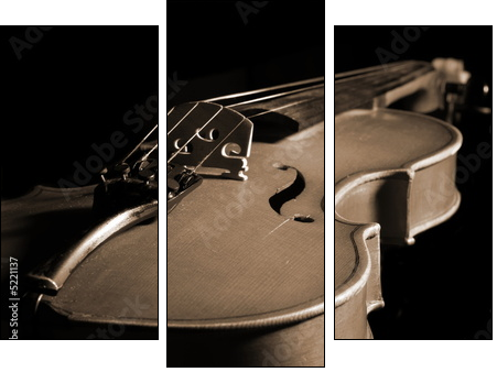 violin isolated on black - Three-piece canvas, Triptych