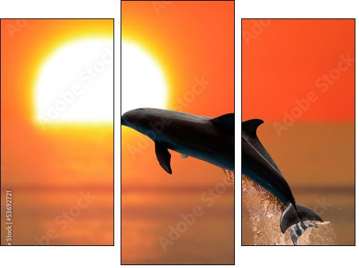 Dolphins at sunset - Three-piece canvas, Triptych