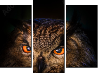 Grand Duc - Three-piece canvas, Triptych