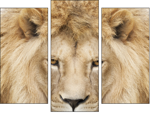 King - Three-piece canvas, Triptych