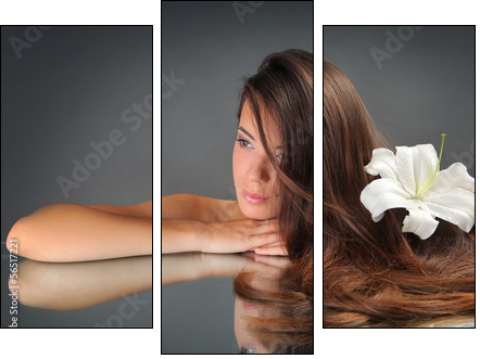 beautiful woman - Three-piece canvas, Triptych