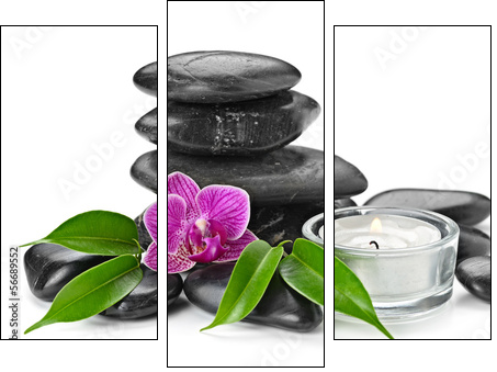 orchid - Three-piece canvas, Triptych