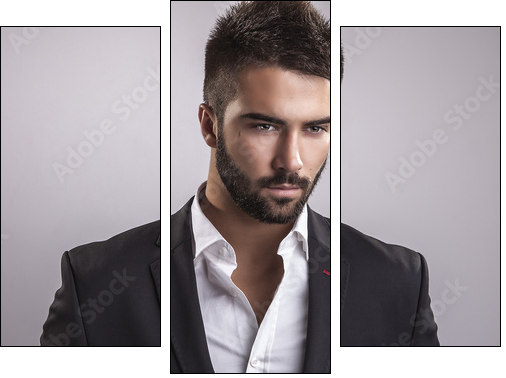 Elegant young handsome man. Studio fashion portrait. - Three-piece canvas, Triptych