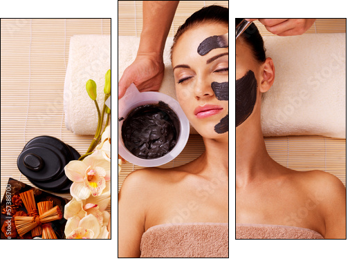 Cosmetologist smears cosmetic mask on the face of  woman - Three-piece canvas, Triptych