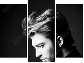 deep reverie - Three-piece canvas, Triptych