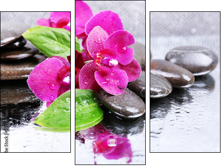 Composition with beautiful blooming orchid with water drops and - Three-piece canvas, Triptych