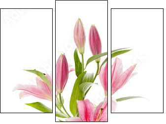 Pink lily - Three-piece canvas, Triptych
