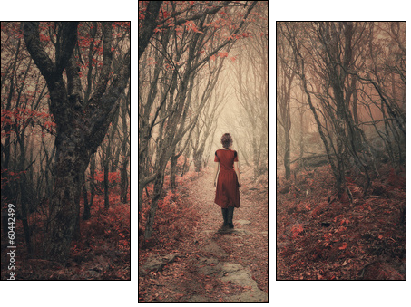 Woman and foggy forest. - Three-piece canvas, Triptych