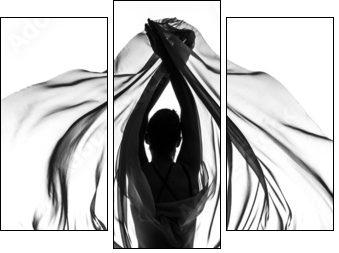 Butterfly effect - Three-piece canvas, Triptych