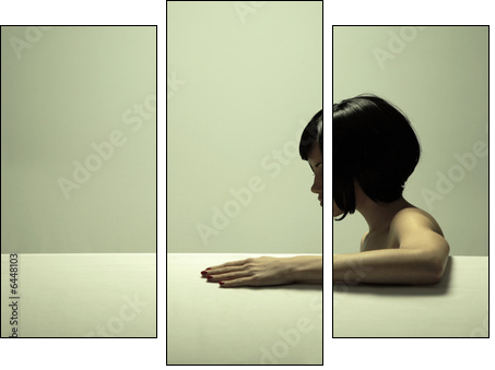 Fine art portrait of elegant girl. Studio photo. Beautiful woman - Three-piece canvas, Triptych