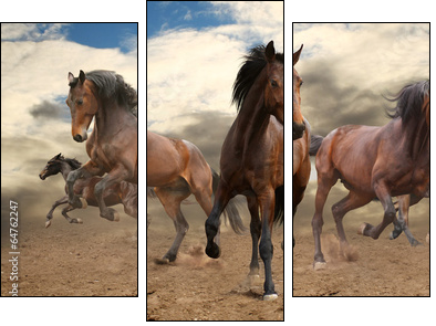 five indomitable bay horse galloping - Three-piece canvas, Triptych