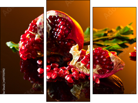 pomegranate - Three-piece canvas, Triptych