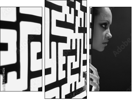 The girl and a shone pattern - Three-piece canvas, Triptych