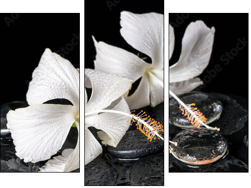 Beautiful cryogenic spa concept of delicate white hibiscus, zen - Three-piece canvas, Triptych