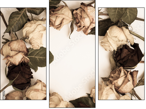 withered rose - Three-piece canvas, Triptych