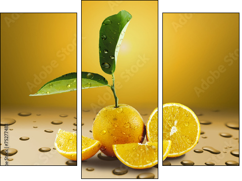 Laranja Molhada - Three-piece canvas, Triptych