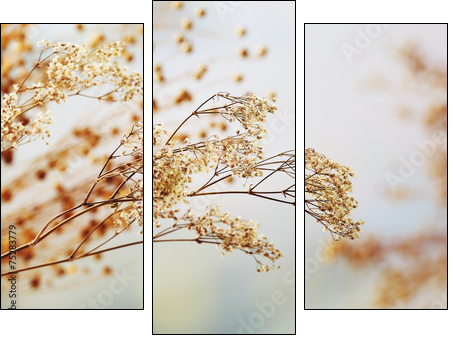 Dried flowers background - Three-piece canvas, Triptych