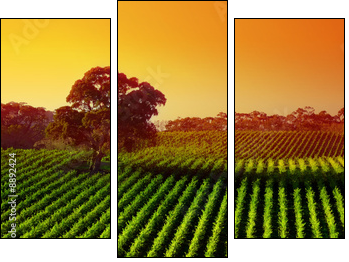 Beautiful Vineyard Landscape with large gum tree - Three-piece canvas, Triptych