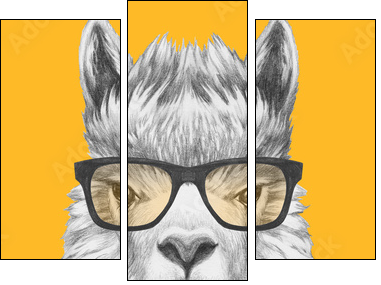 Portrait of Lama with glasses and scarf. Hand drawn illustration. - Three-piece canvas, Triptych