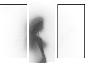 Sexy woman body silhouette - Three-piece canvas, Triptych